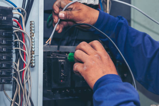 Best Electric Panel Repair  in Saltville, VA